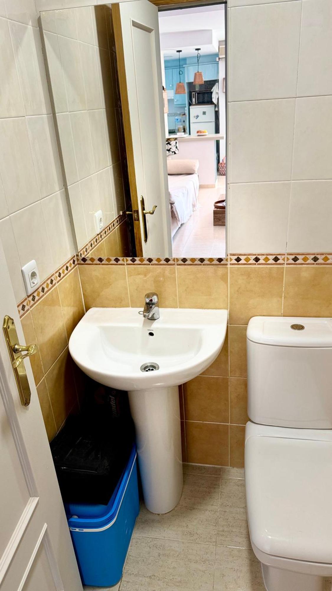 Datiler Vybdenia Bagian luar foto